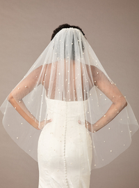Stardust Veil