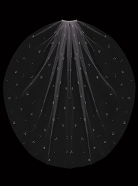Marva Veil