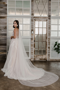 Frederike Veil
