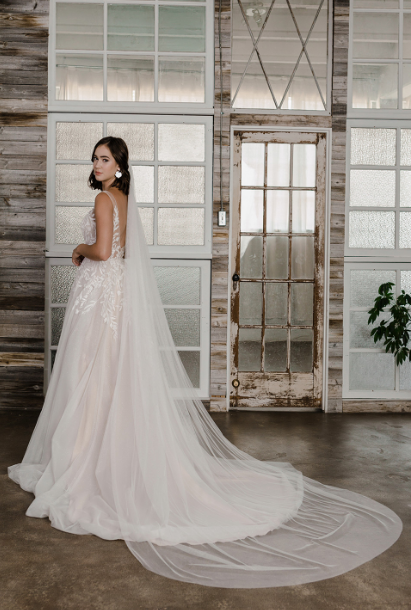 Frederike Veil