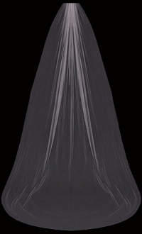Frederike Veil