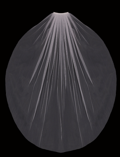 Solstice Veil