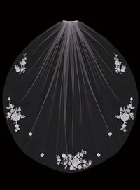 Dessa Veil