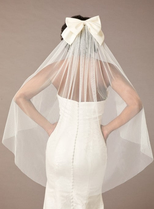 Dana Veil