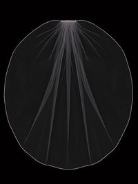 Nerissa Veil